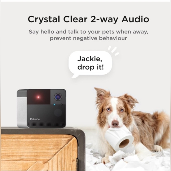 Petcube Play 2 Wi-Fi Pet Camera with Laser Toy for Cats & Dogs, 1080P HD Video - Picture 3 of 5